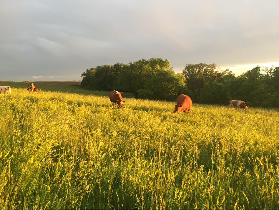 Rutt Farms Spring Day